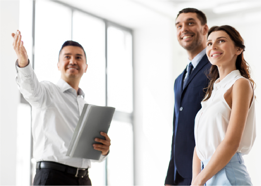 Fresh dates on palm tree